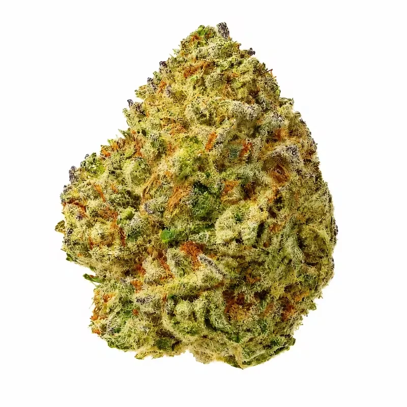 Birthday Cake THCA Flower at 247 Smoke Shop Sand Lake / Universal Studio in Orlando