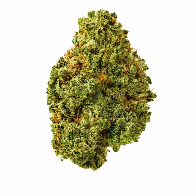 Dark Rainbow THCA Flower at 247 Smoke Shop Sand Lake / Universal Studio in Orlando