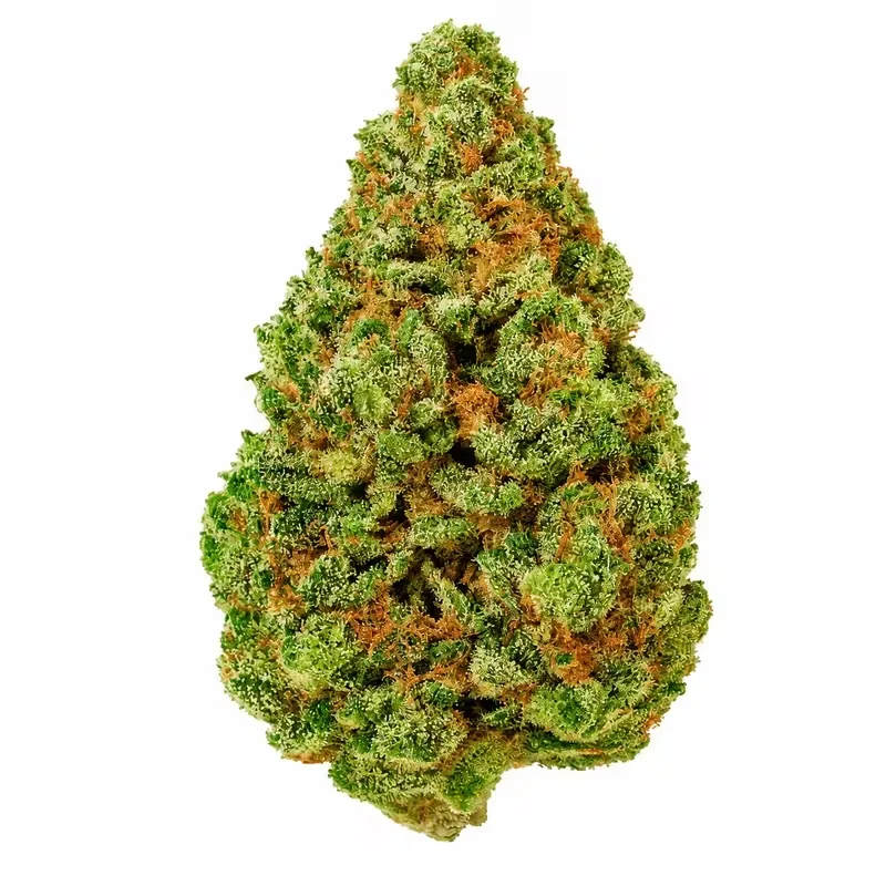 Gush Mintz THCA Flower at 247 Smoke Shop Sand Lake / Universal Studio in Orlando