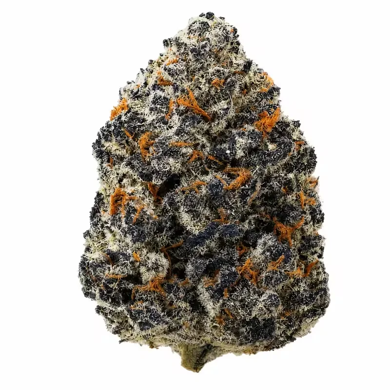 Oreoz THCA Flower at 247 Smoke Shop Sand Lake / Universal Studio in Orlando