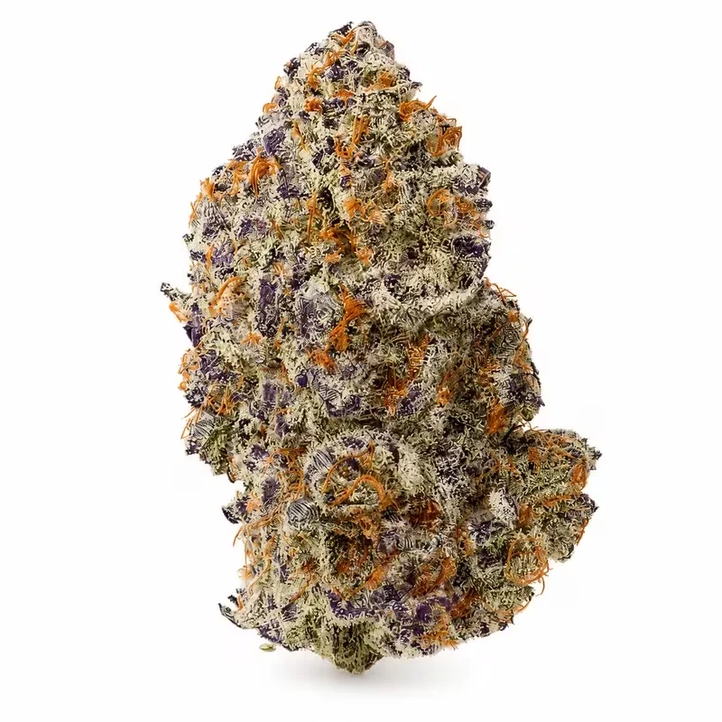 Purple Punch THCA Flower at 247 Smoke Shop Sand Lake / Universal Studio in Orlando