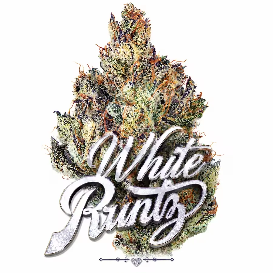 Runtz THCA Flower at 247 Smoke Shop Sand Lake / Universal Studio in Orlando