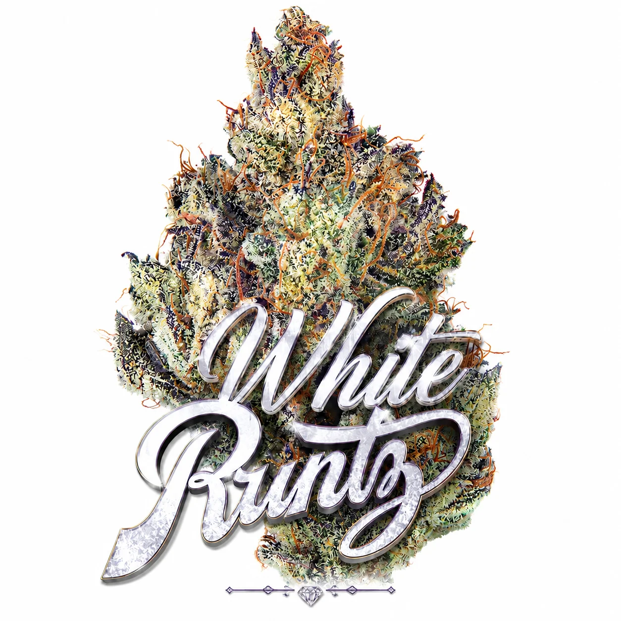 White Runtz premium flower at 247 Smoke Shop Sand Lake / Universal Studio Orlando