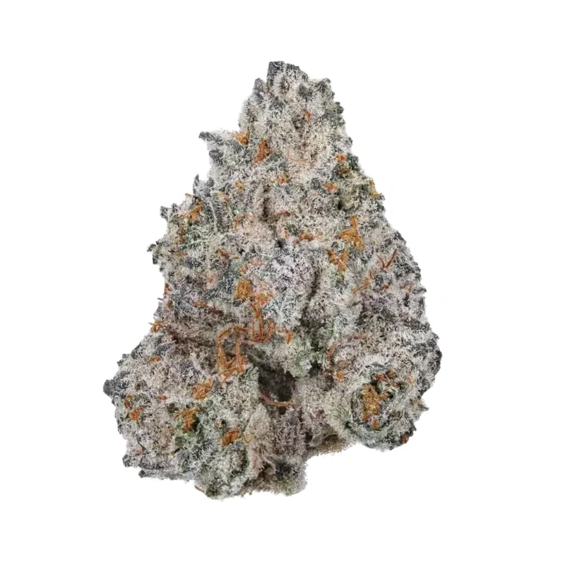 White Truffle THCA Flower at 247 Smoke Shop Sand Lake / Universal Studio in Orlando